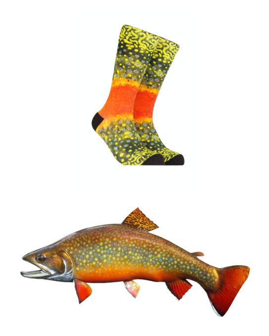 Brook Trout Socks - Fish Patterned Clothing- Gifts for Anglers – Reel  Threads