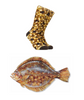 Flounder